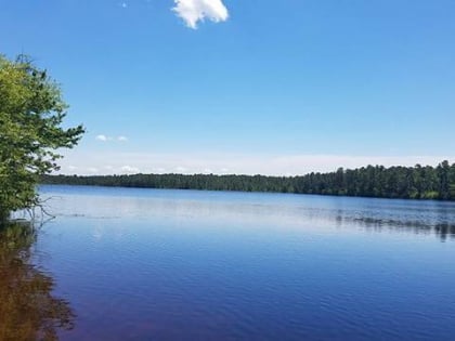 brendan t byrne state forest new jersey pinelands national reserve