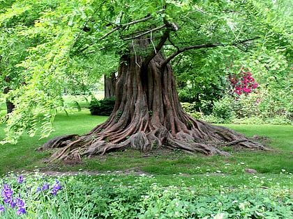 bailey arboretum oyster bay