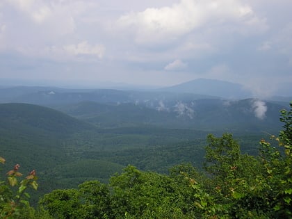 Ozark Mountain forests