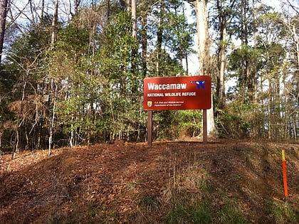 waccamaw national wildlife refuge