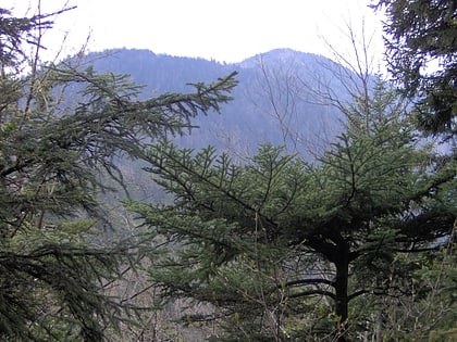 mount chapman park narodowy great smoky mountains