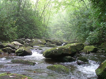 foret nationale de cherokee