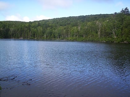 griffith lake bosque nacional green mountain