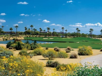 palm valley golf club goodyear