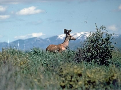 Curlew National Grassland