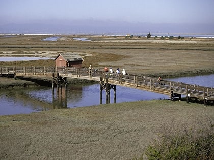 don edwards san francisco bay national wildlife refuge