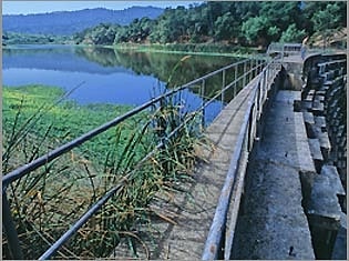 Searsville Dam
