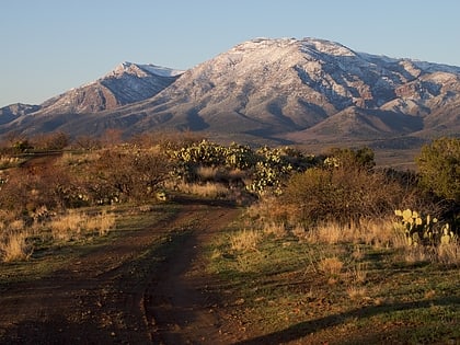 mazatzal mountains foret nationale de tonto