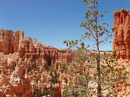 under the rim trail park narodowy bryce canyon