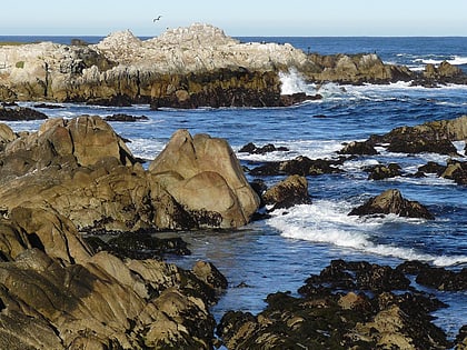 Asilomar State Beach