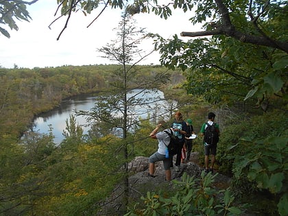 abram s hewitt state forest