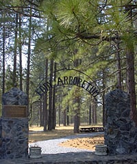 Eddy Arboretum