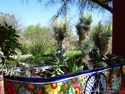 Jardín botánico de Tucson