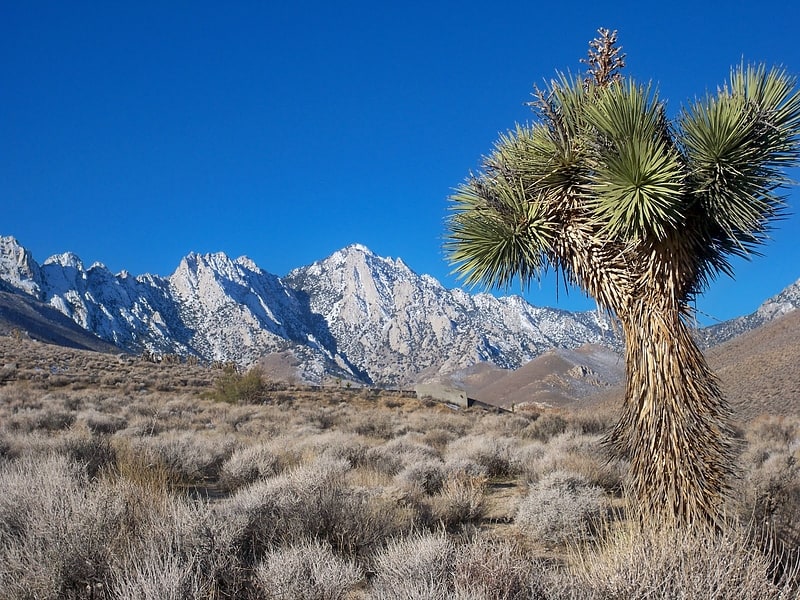 Owens Peak Wilderness