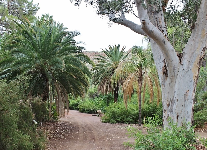park stanowy boyce thompson arboretum superior