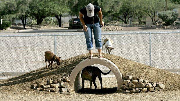 ora mae harn park marana