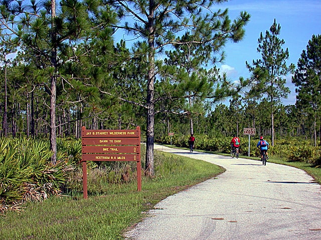 starkey wilderness preserve werner boyce salt springs state park