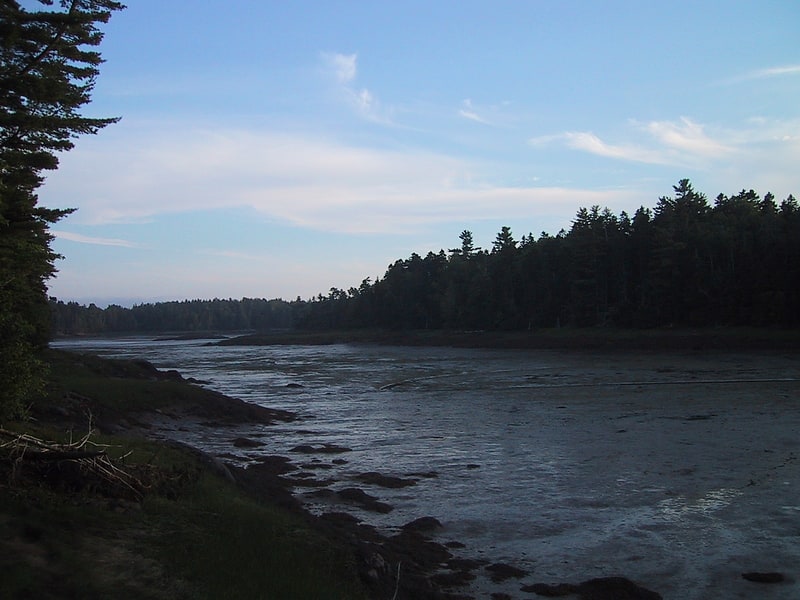 cobscook bay state park moosehorn national wildlife refuge