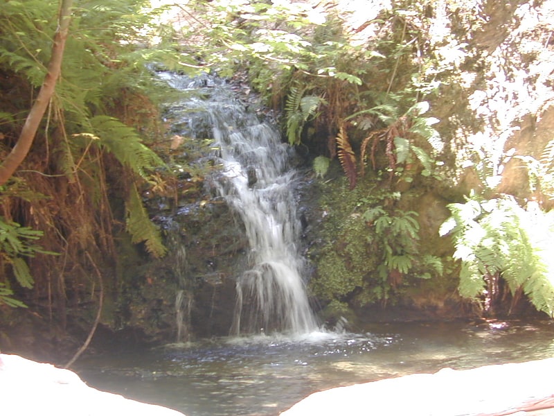 tip toe falls portola redwoods state park