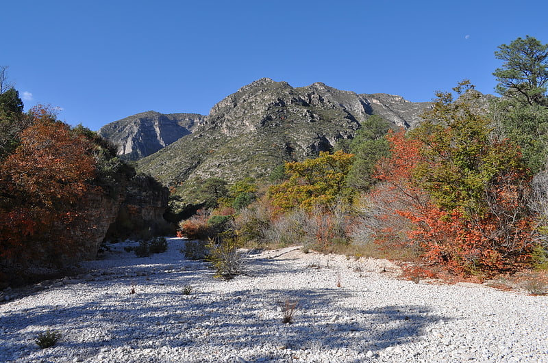 mckittrick canyon guadalupe mountains national park