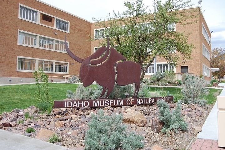 idaho museum of natural history pocatello