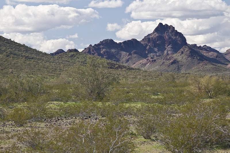 sugarloaf mountain hummingbird springs wilderness