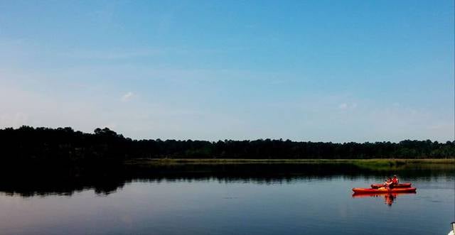 fort mcallister state historic park richmond hill