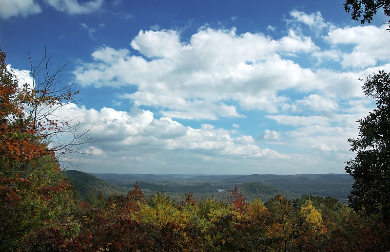 Bosque nacional Uwharrie