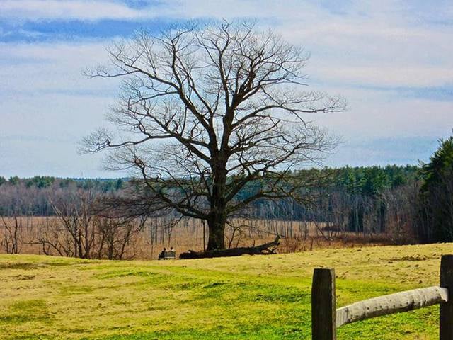 mass audubon wachusett meadow princeton