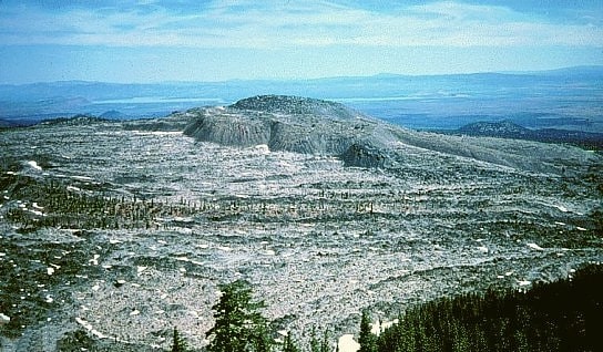 Forêt nationale de Modoc