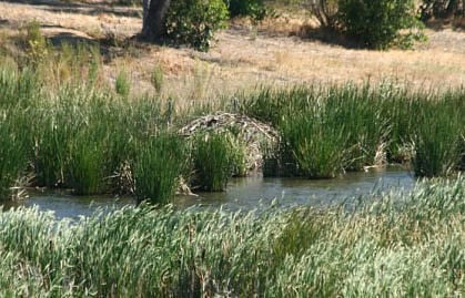 benicia state recreation area