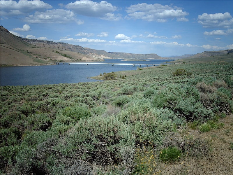 reservoir blue mesa curecanti national recreation area