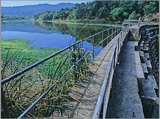 searsville dam jasper ridge biological preserve