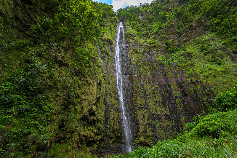 Chutes Waimoku