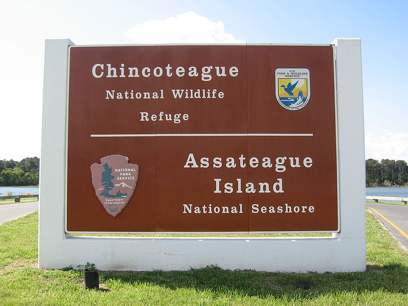 Assateague Island National Seashore