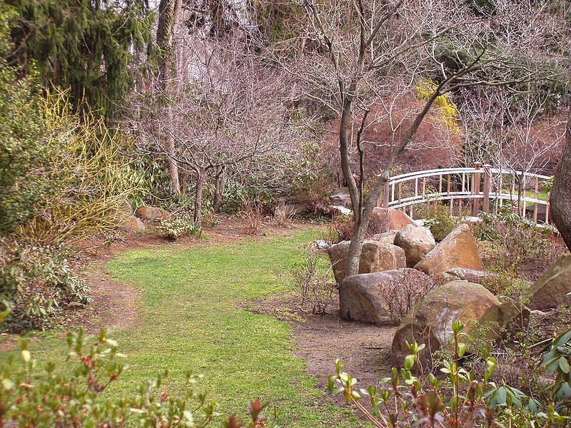 Jardín botánico del parque Sayen