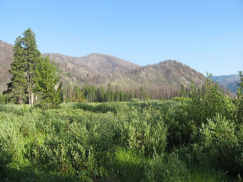 White Cloud Mountains