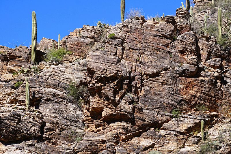 Sabino Canyon