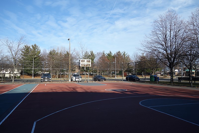 Roy Wilkins Park