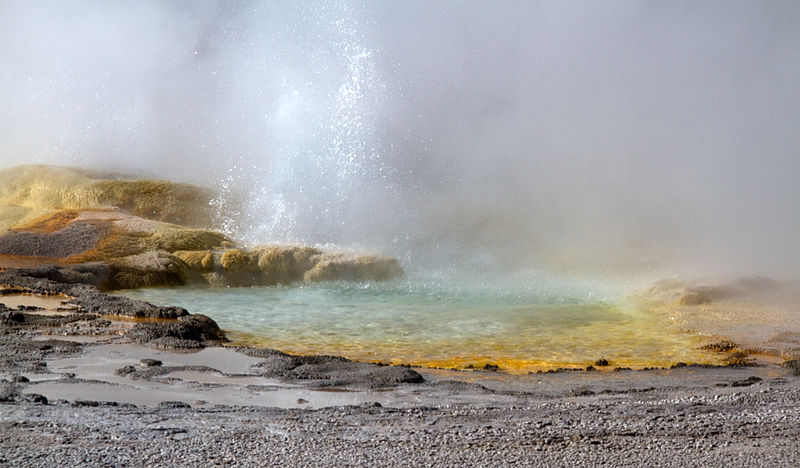 Spasm Geyser