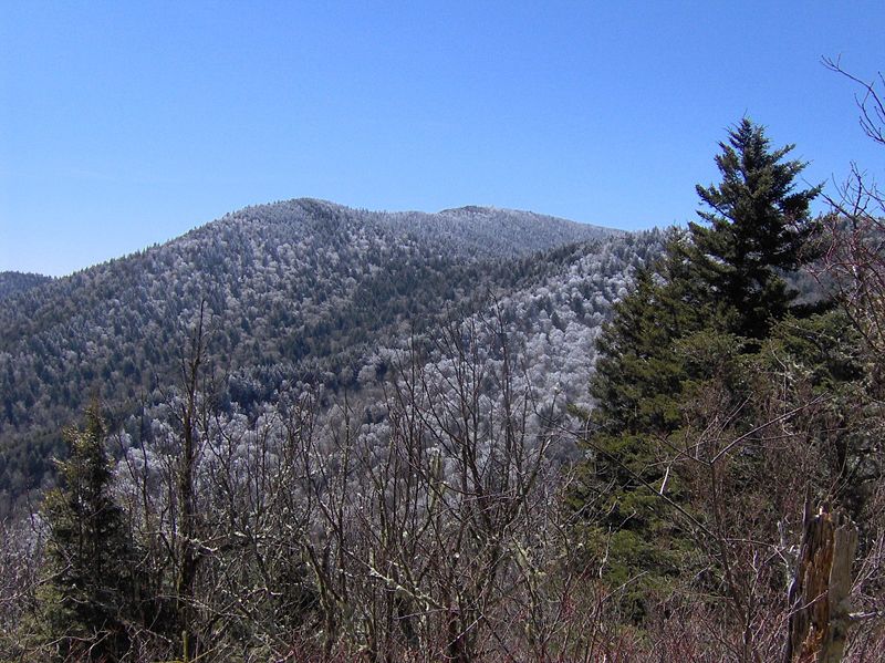 Mount Guyot