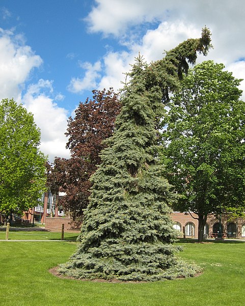 Universidad Estatal de Nueva York en Geneseo