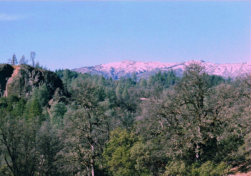 Mendocino National Forest