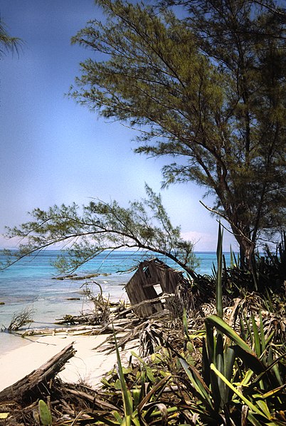 Loggerhead Key