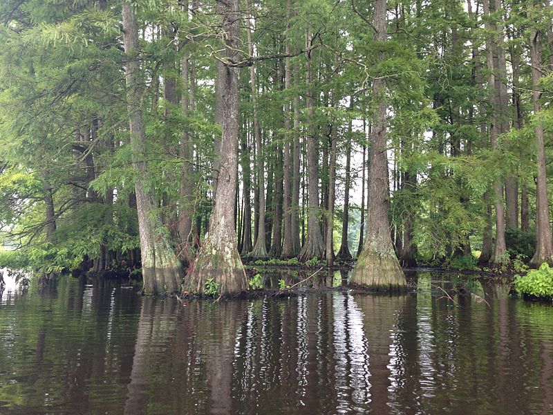 Trap Pond State Park