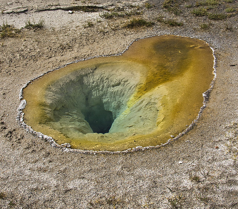 Belgian Pool