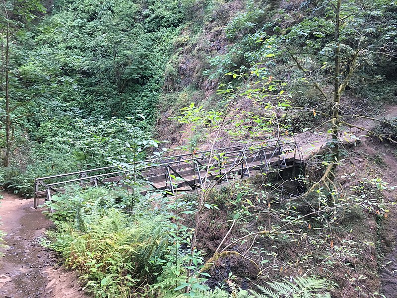 Oneonta Gorge