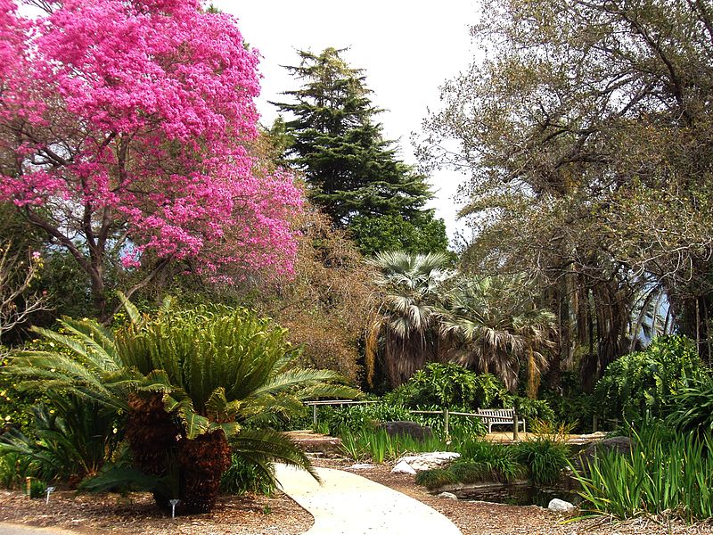 Los Angeles County Arboretum and Botanic Garden
