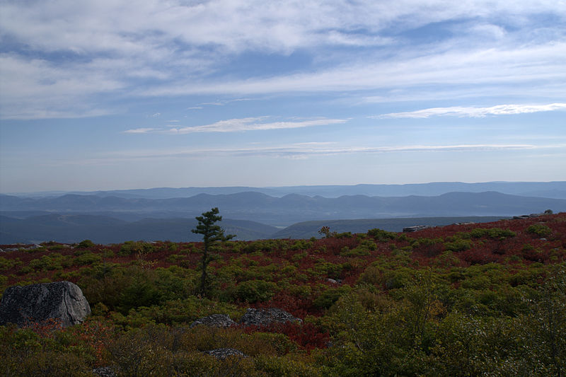 Dolly Sods Wilderness