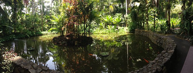 Hawaii Tropical Botanical Garden